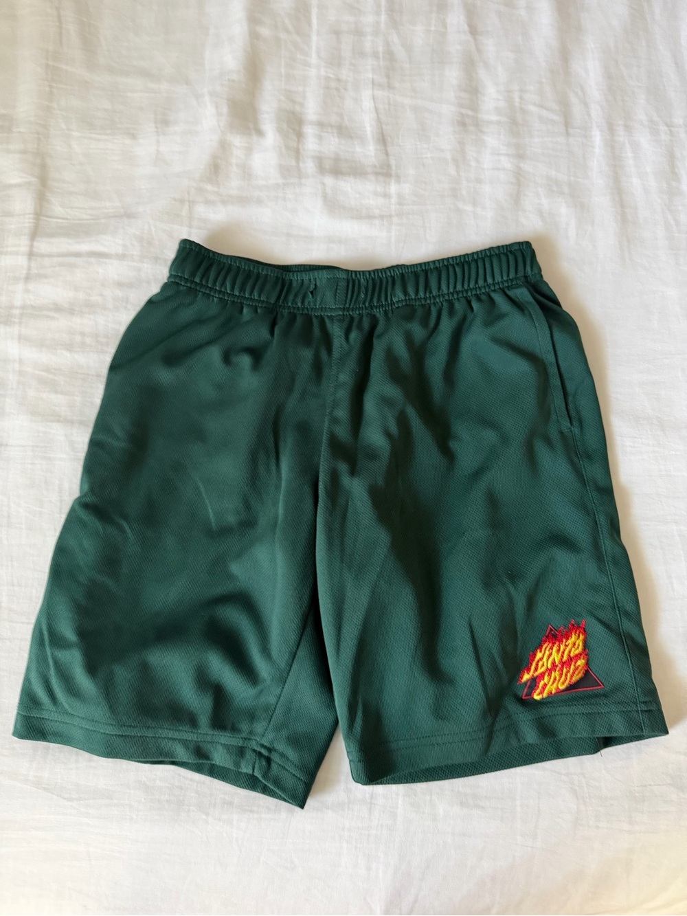 Zumiez Santa Cruz Boys Basketball Shorts green